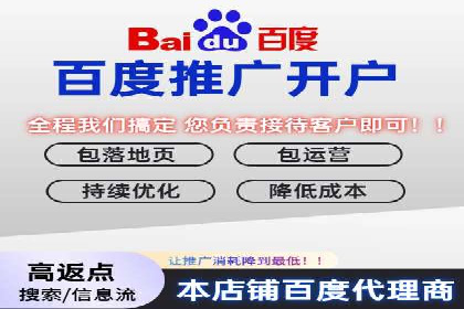 百度推广代运营公司案例：创意广告设计助力品牌崛起
